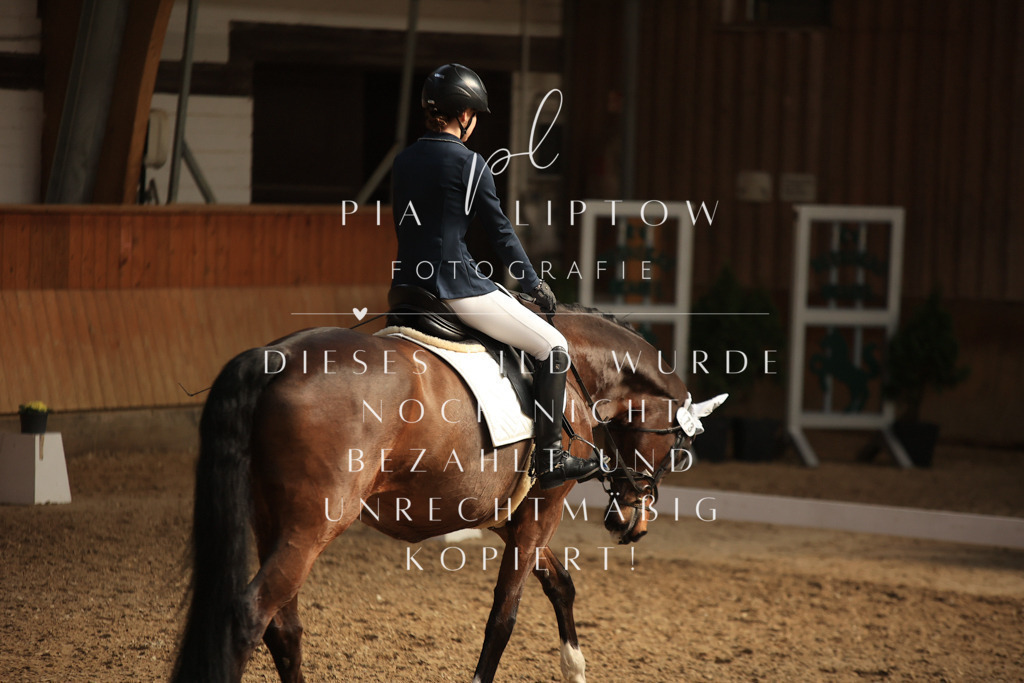 IMGT4800 | pl-fotografie