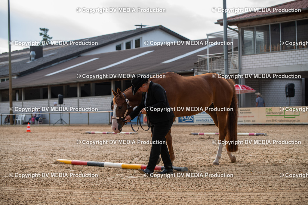 EWP_5564 | dv-media-shop - Realisiert mit Pictrs.com