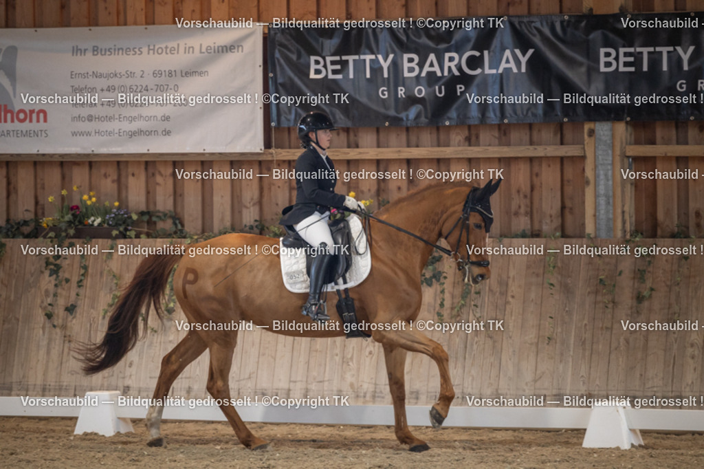 _D5A4743 | Emotionale Pferde- & People-Fotografie rund um Heidelberg, Leimen & Umgebung. Natürliche Fotos von Pferd, Mensch & Familie. Jetzt Termin sichern!