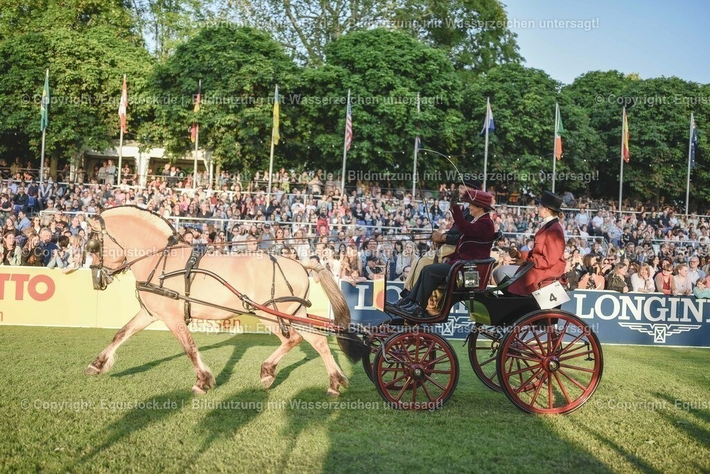 20230526_Pferdenacht_0093 | equistock