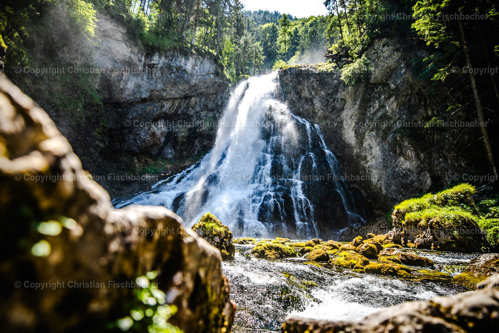 Fotos_Copyright_Chri_Fischbacher_Druck-183 | Bildershop Chri Fischbacher - Realisiert mit Pictrs.com