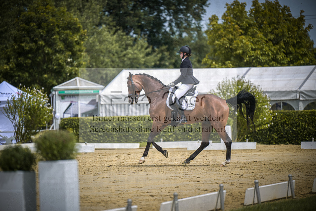 DOS_2947 | Entdecke hochwertige Reitturnierfotos von Foto Oger. Professionell, emotional und authentisch – jetzt Lieblingsmomente im Shop bestellen.Deutschlandweite Turnierfotografie. - Realisiert mit Pictrs.com