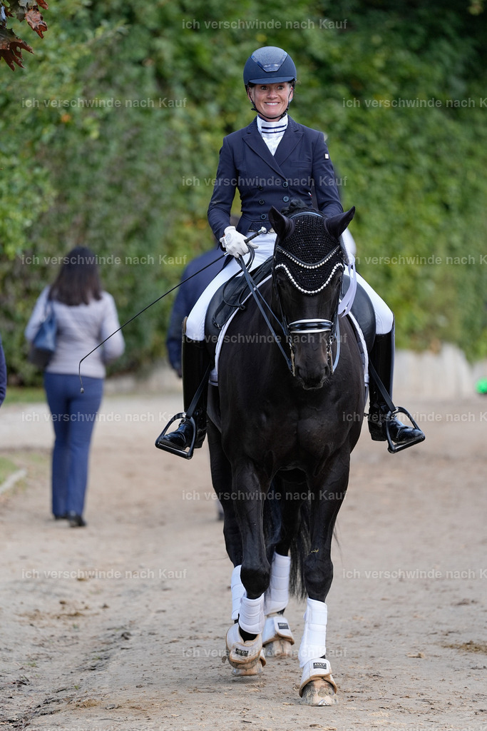 09_1-115-DRESSUR  S_  -StoibPH-5614 | working equitationturnier fotograf videograf stoibphotography marixx film working equitation deutschland reitsport turnierfotografie eventfotografie equestrian events