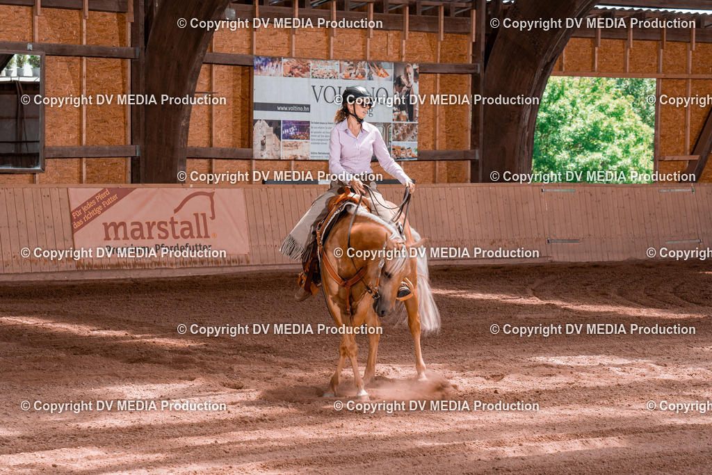 NE100667 | dv-media-shop - Realisiert mit Pictrs.com