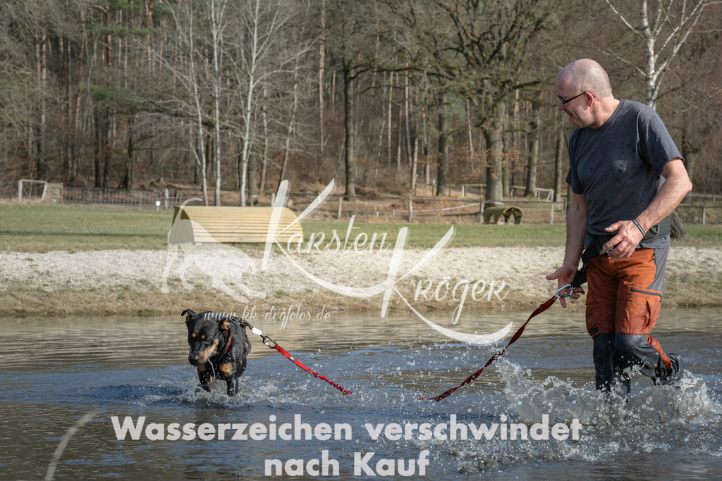 1352_ZZ98508 | kk-dogfotos