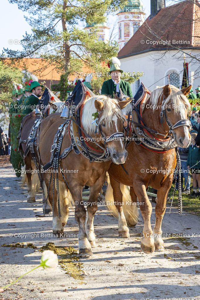 LBT25-1073 | foto-bettina-krinner - Realisiert mit Pictrs.com