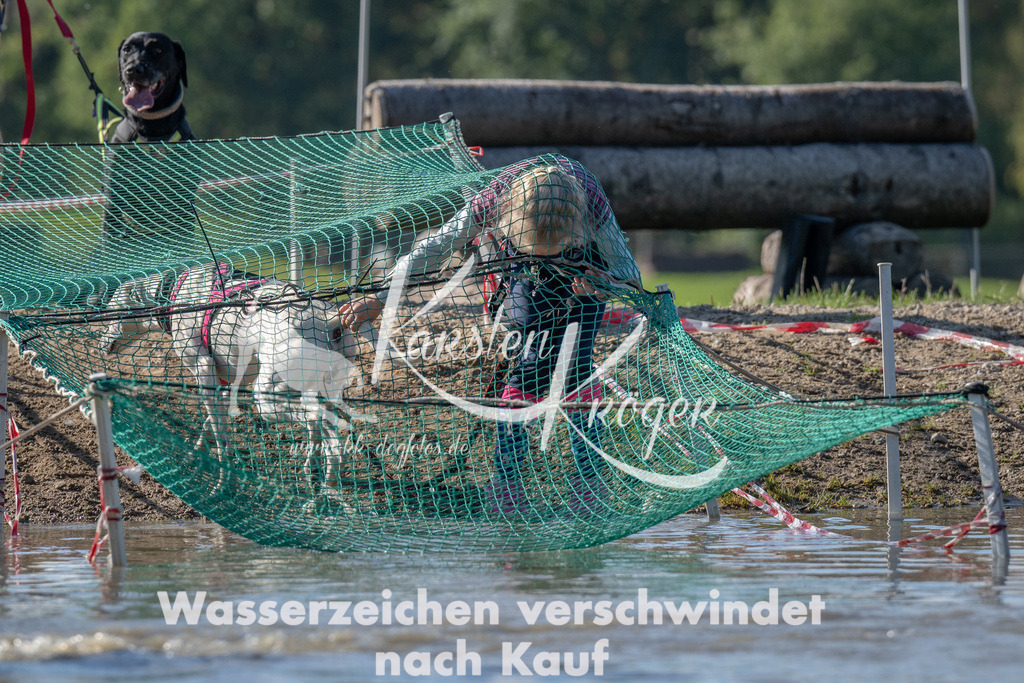 1322_ZZ90190 | kk-dogfotos