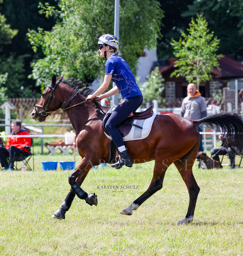 1B3A4847 | Reitsport Reiten
