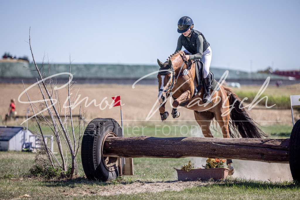 20260906-_3LI3536 | Tierfotografie Pferde, Hunde, Katzen, Haustiere.
Turnierfotografie Reitturniere, Reiten, Springreiten, Dressur in Hanau, dem Main-Kinzig-Kreis und dem Rhein-Main- Gebiet um Frankfurt
