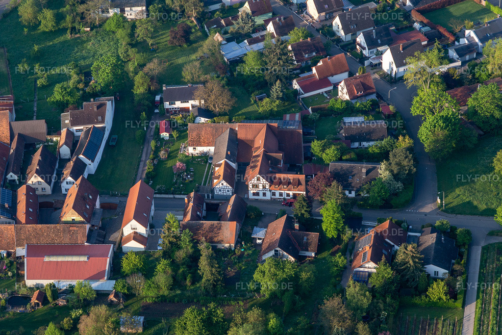 Luftbild: Weingut und Weinstube Vogler im Ortsteil Heuchelheim in Heuchelheim-Klingen im Bundesland Rheinland-Pfalz in Deutschland. Foto: IMG_113852.jpg vom 01.05.2019 durch Werner Riehm/FLY-FOTO.de