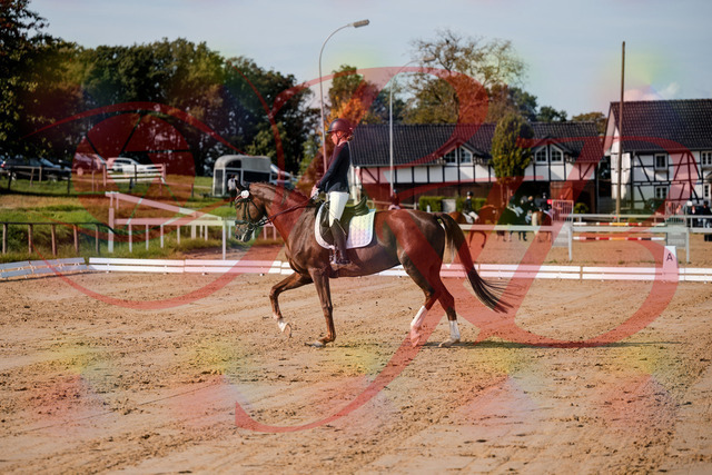 2026_10_03_Siefer-Hof_114730_Z63_26524908 | Professionelle Reitsport-, Turnier- und Eventfotografie von Robert Broda. Galerien mit ausgewählten und bearbeiteten Bildern direkt online ansehen und bestellen.
