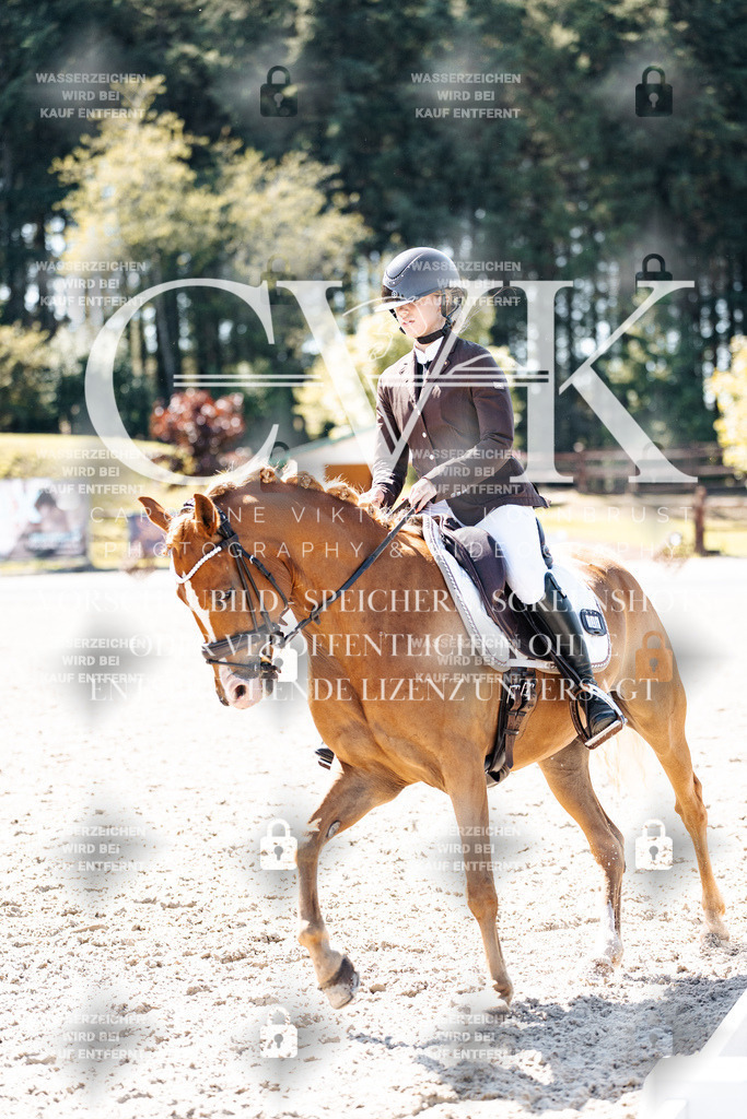 CK904287 | Turnierfotografie Pferdefotografie Trier Rheinland-Pfalz Pferdesport Reitsport Tierfotografie Sportfotografie Pferdevideo Pferdevideografie Equestrianvideography equestrianphotography  - Realisiert mit Pictrs.com