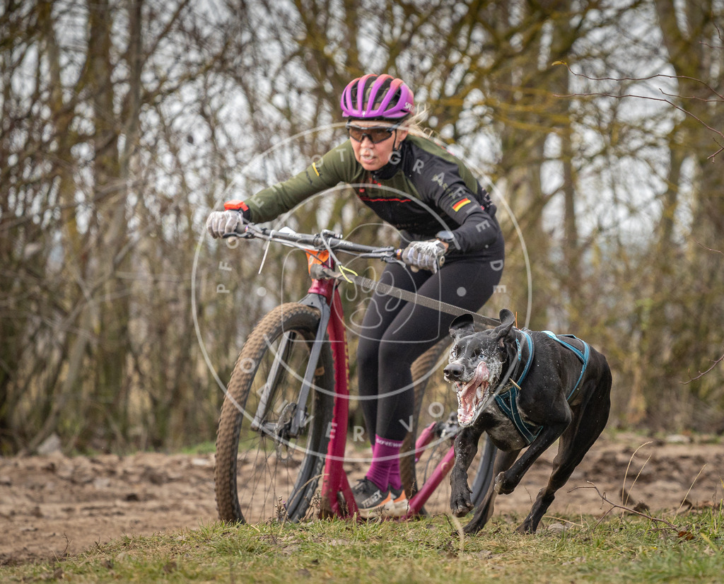 Pfotenfotografie_DV3A9271 | Hundefotografie, Tierfotograf, Pfotenfotografie, Fotoshooting Hund, Hunde Portrait, Hundesport, Hundeportraits, Heideshooting, Hunde, Sportfotograf, Hundefotograf, Turnierhundsport, THS,  - Realisiert mit Pictrs.com