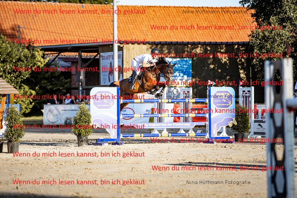 BK1A8506 | Turnierbilder Turnierfotos Nina Hüffmann Turnierfotografie Pferdefotografie Tierzeichnung Haustierzeichnung Pferdezeichnung Hundezeichnung Videograf  - Realisiert mit Pictrs.com