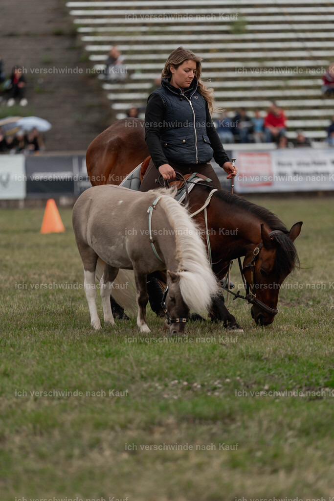 Showprogramm-122 | working equitationturnier fotograf videograf stoibphotography marixx film working equitation deutschland reitsport turnierfotografie eventfotografie equestrian events