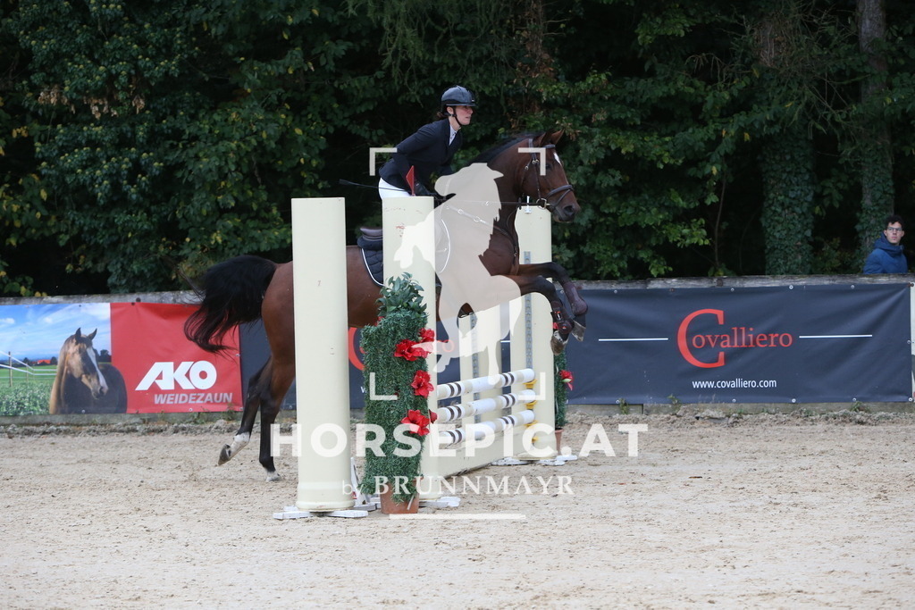 DL2Q0302 | Willkommen bei Brunnmayr - Design & Fotografie – Ihrem Spezialisten für Reitturniere und Pferdeveranstaltungen in Oberösterreich, Salzburg und Bayern! Seit über 17 Jahren sind wir leidenschaftlich dabei.