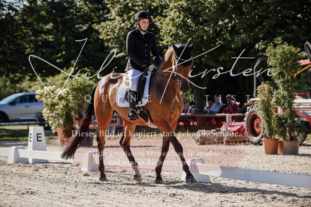 DSC_0293 | Pferde- und Turnierfotografie in Westsachsen. Pferdeportraits, Auftragszeichnungen und intuitive Kunst.