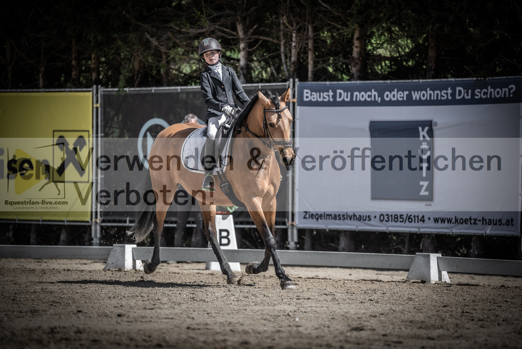 DSC_0870 | equestrian-live-com