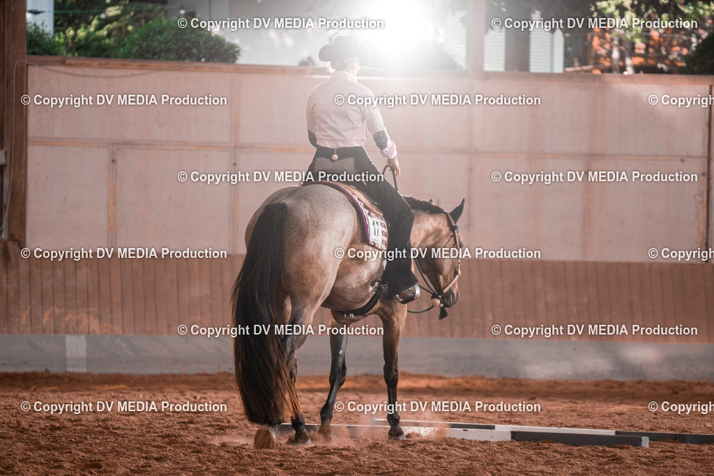 NE200128 | dv-media-shop - Realisiert mit Pictrs.com