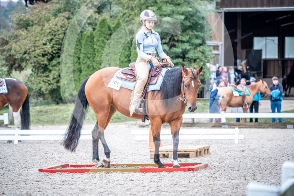 HEB08190 | BS-foto