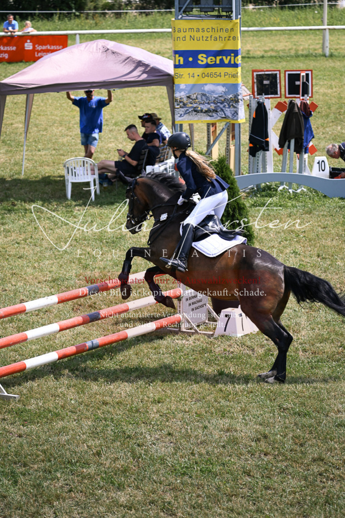 DSC_9500 | Pferde- und Turnierfotografie in Westsachsen. Pferdeportraits, Auftragszeichnungen und intuitive Kunst.