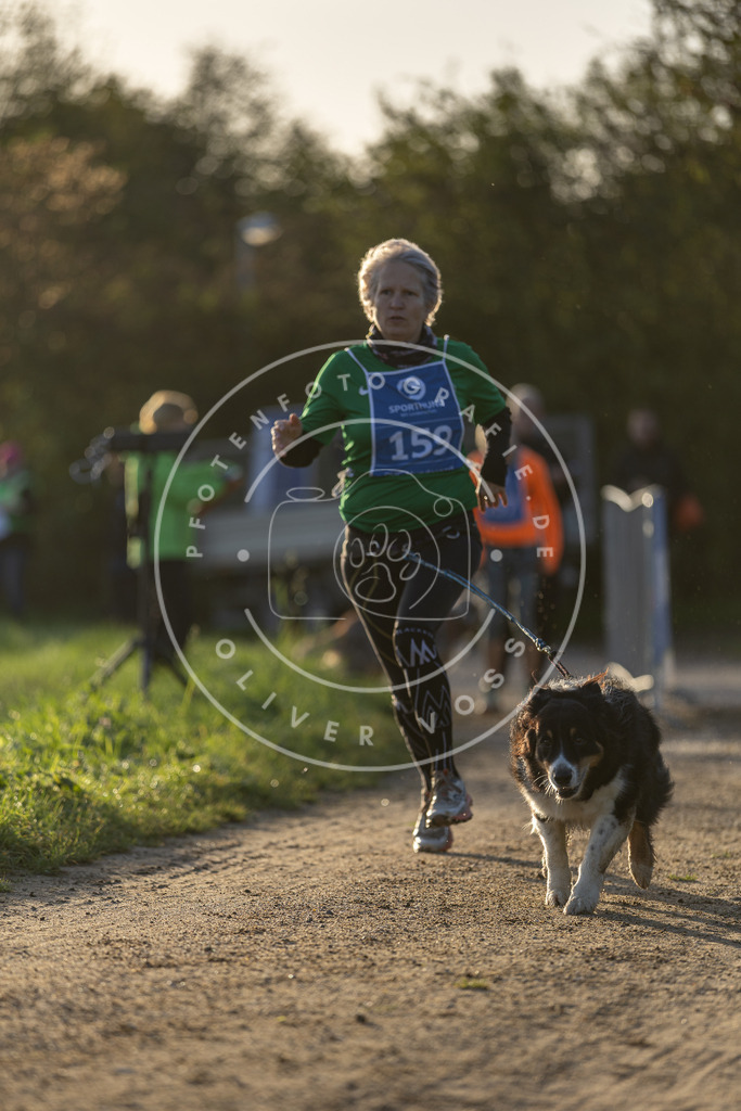 Pfotenfotografie.de_DV3A2575 | Hundefotografie, Tierfotograf, Pfotenfotografie, Fotoshooting Hund, Hunde Portrait, Hundesport, Hundeportraits, Heideshooting, Hunde, Sportfotograf, Hundefotograf, Turnierhundsport, THS, canicross - Realisiert mit Pictrs.com
