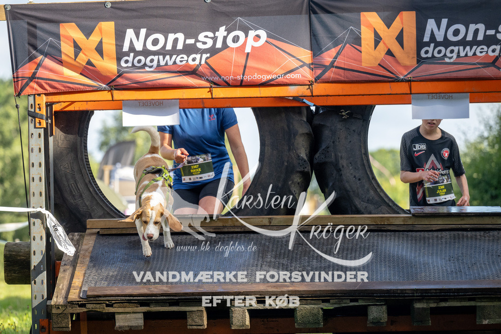 0923_ZZ90707 | kk-dogfotos