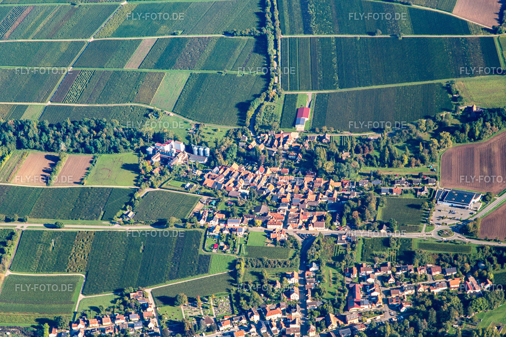 Dorf von Süden | Luftbild: Dorf von Süden im Ortsteil Appenhofen in Billigheim-Ingenheim im Bundesland Rheinland-Pfalz in Deutschland. Foto: IMG_143502.jpg vom 29.09.2024 durch ©2025 Werner Riehm fly-foto.de/copyright - Realisiert mit Pictrs.com
