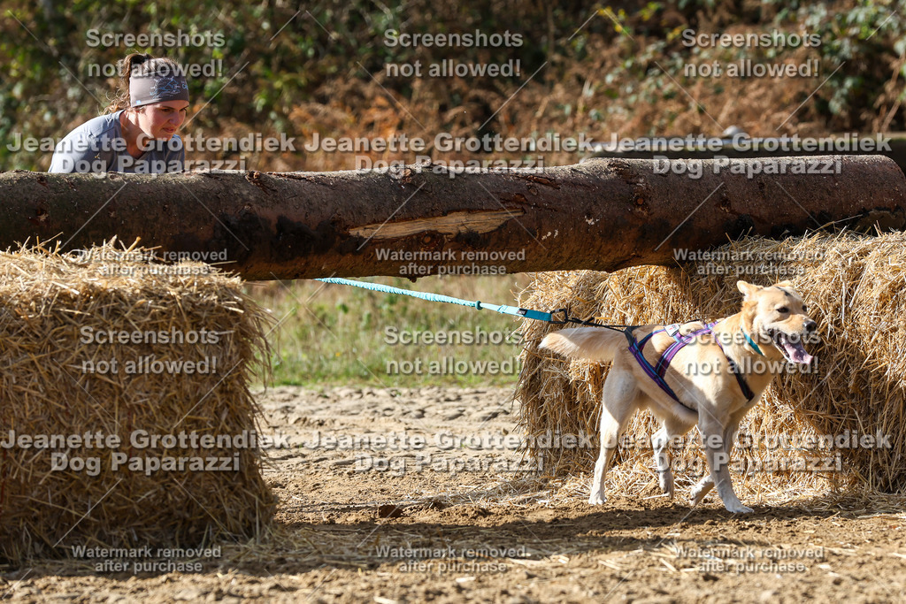 Dog Paparazzi - Strongdog 10-25-5359 | Dog Paparazzi Jeanette Grottendiek Fotografie & Videografie - Realisiert mit Pictrs.com