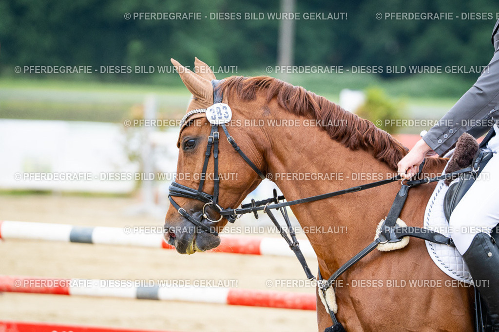 DSC03643 | Pferdegrafie