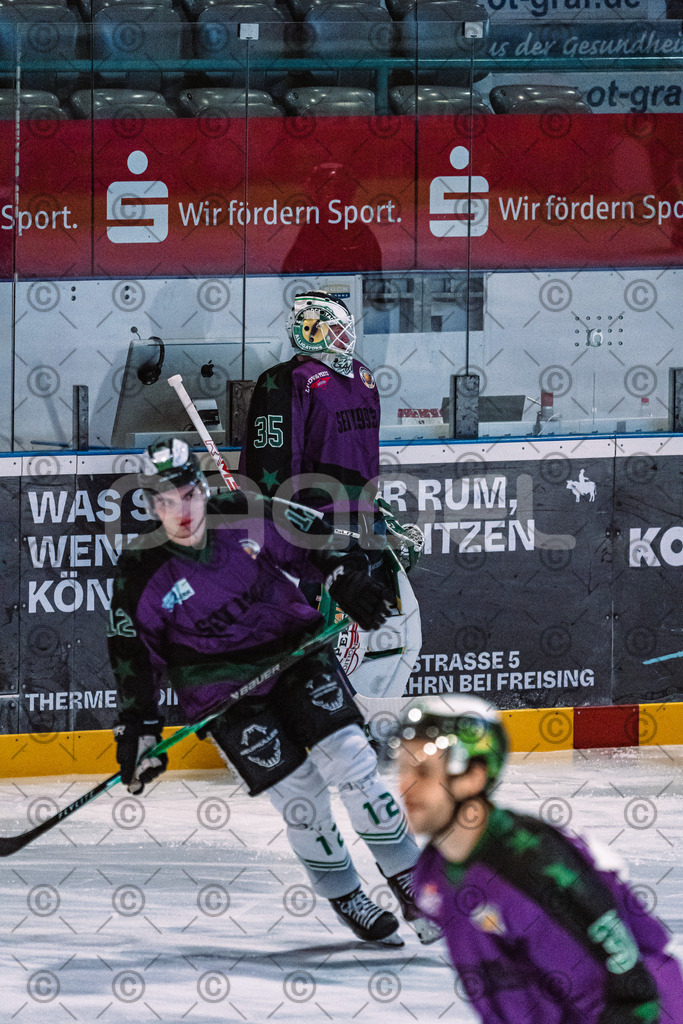 Erding_vs_Alligators_02_01_2026-05 | Höchstadt Alligators Fotogalerie: Eishockey-Action aus Franken. Professionelle Spielfotos, Portraits & Stadionbilder zum Download. Jetzt entdecken! - Realisiert mit Pictrs.com