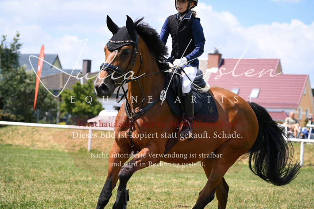 DSC_9325 | Pferde- und Turnierfotografie in Westsachsen. Pferdeportraits, Auftragszeichnungen und intuitive Kunst.