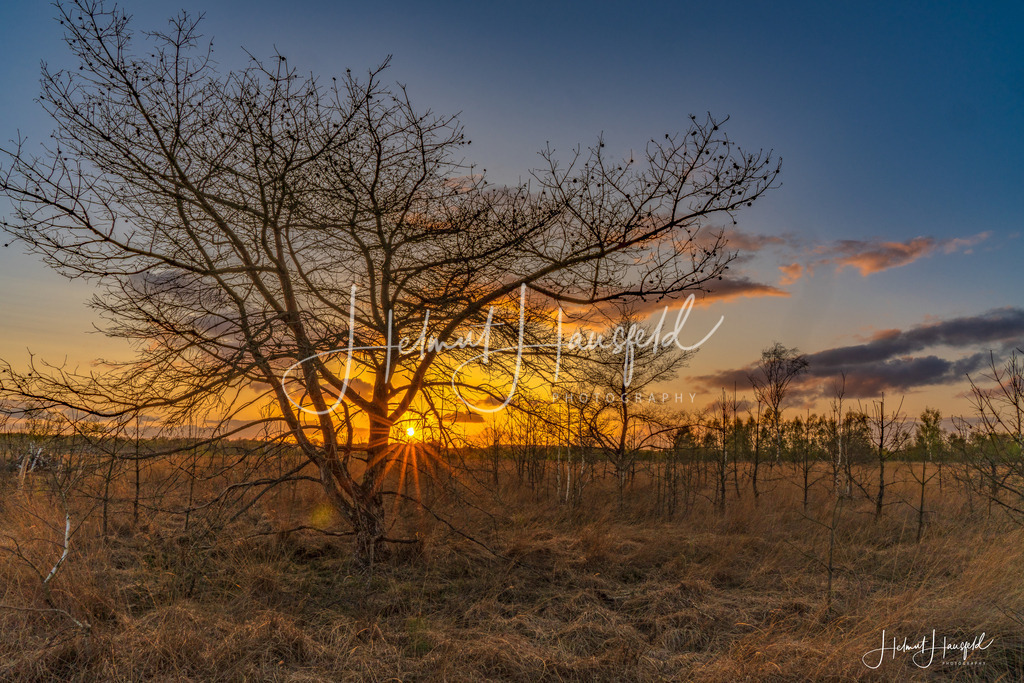 DSC05049 | Landschaftsfotografie, Naturfotografie - Realisiert mit Pictrs.com