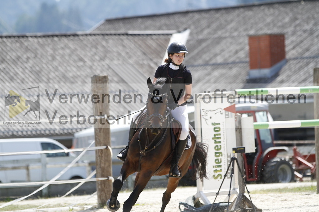 _MG_6142 | equestrian-live-com