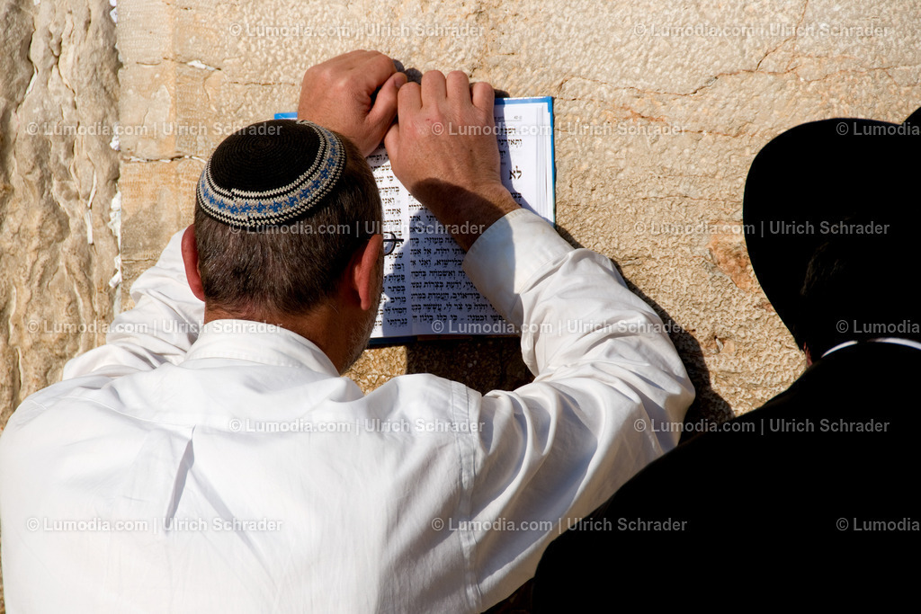 202510-151 | Stockfoto und Bilderpool mit Bildmaterial aus Deutschland, dem Harz, Halberstadt, Quedlinburg, Wernigerode und weltweit. Qualitativ hochwertige und professionelle Fotos anschauen und kaufen. - Realisiert mit Pictrs.com