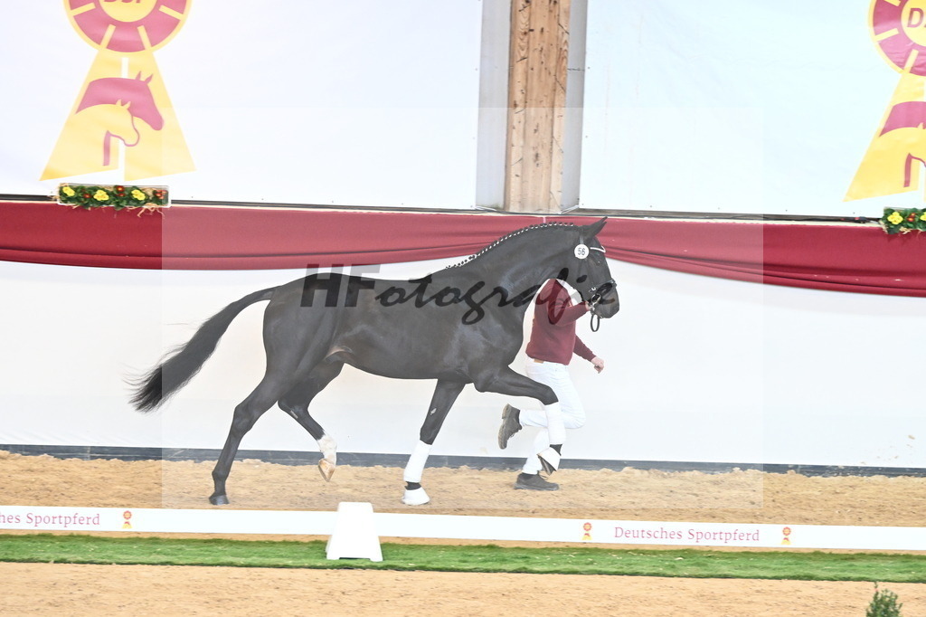 Kat.-Nr. 56 v. Jameson RS2_Fischer_2240714 | hf-fotografie - Realisiert mit Pictrs.com
