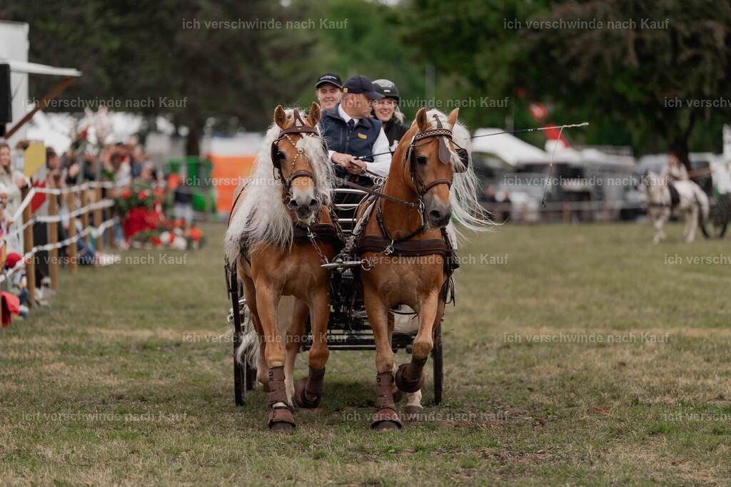 Showprogramm-520 | working equitationturnier fotograf videograf stoibphotography marixx film working equitation deutschland reitsport turnierfotografie eventfotografie equestrian events