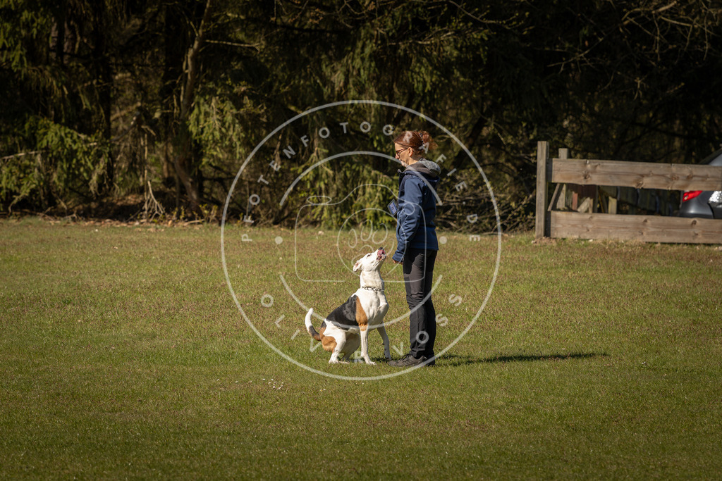 Pfotenfotografie_DV3A0662 | Hundefotografie, Tierfotograf, Pfotenfotografie, Fotoshooting Hund, Hunde Portrait, Hundesport, Hundeportraits, Heideshooting, Hunde, Sportfotograf, Hundefotograf, Turnierhundsport, THS,  - Realisiert mit Pictrs.com