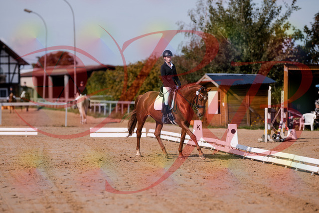 2026_10_03_Siefer-Hof_114044_Z81_83190461 | Professionelle Reitsport-, Turnier- und Eventfotografie von Robert Broda. Galerien mit ausgewählten und bearbeiteten Bildern direkt online ansehen und bestellen.