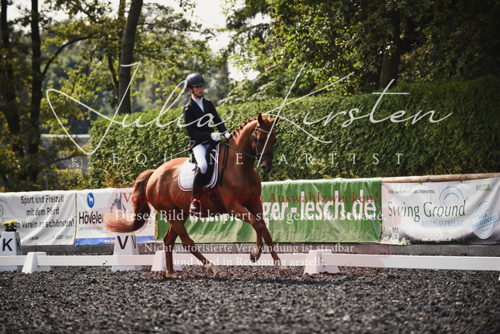 DSC_3597 | Pferde- und Turnierfotografie in Westsachsen. Pferdeportraits, Auftragszeichnungen und intuitive Kunst.