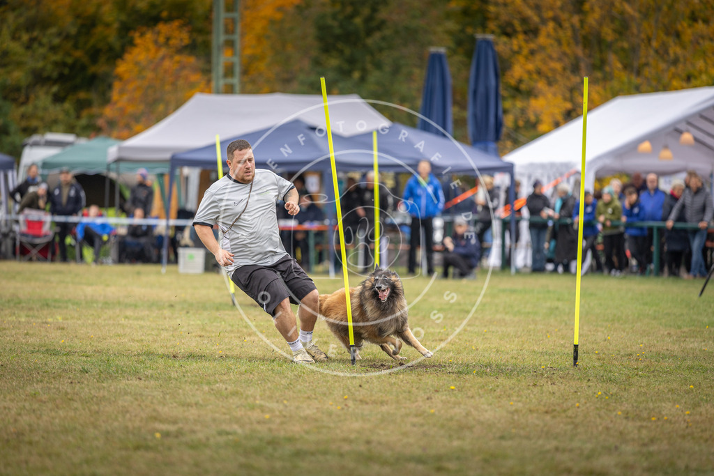 Pfotenfotografie_DV3A8323 | Hundefotografie, Tierfotograf, Pfotenfotografie, Fotoshooting Hund, Hunde Portrait, Hundesport, Hundeportraits, Heideshooting, Hunde, Sportfotograf, Hundefotograf, Turnierhundsport, THS,  - Realisiert mit Pictrs.com