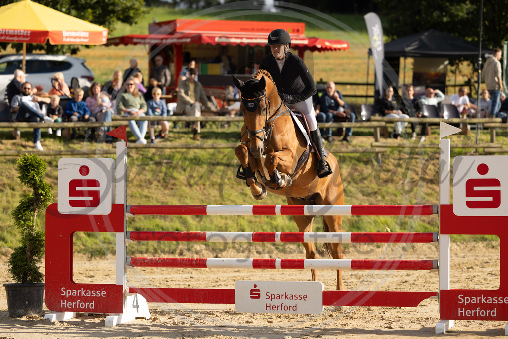 994A8639 | sabrinanicolaifotografie - Realisiert mit Pictrs.com