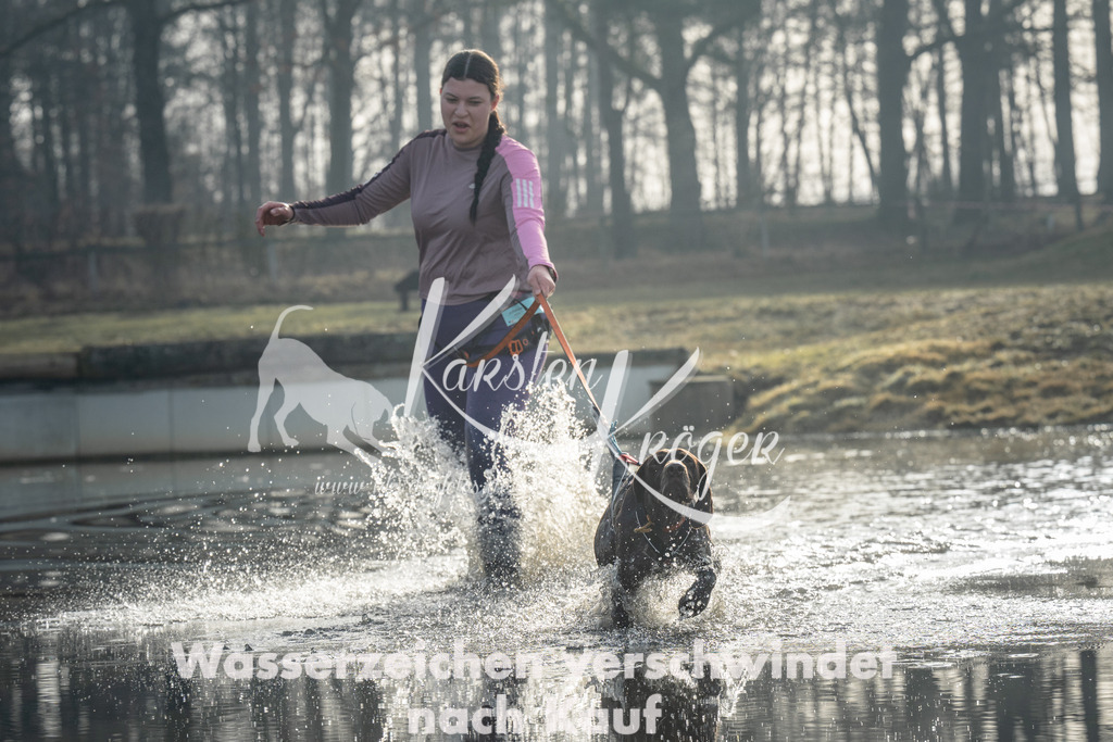 0911_ZZ90218 | kk-dogfotos
