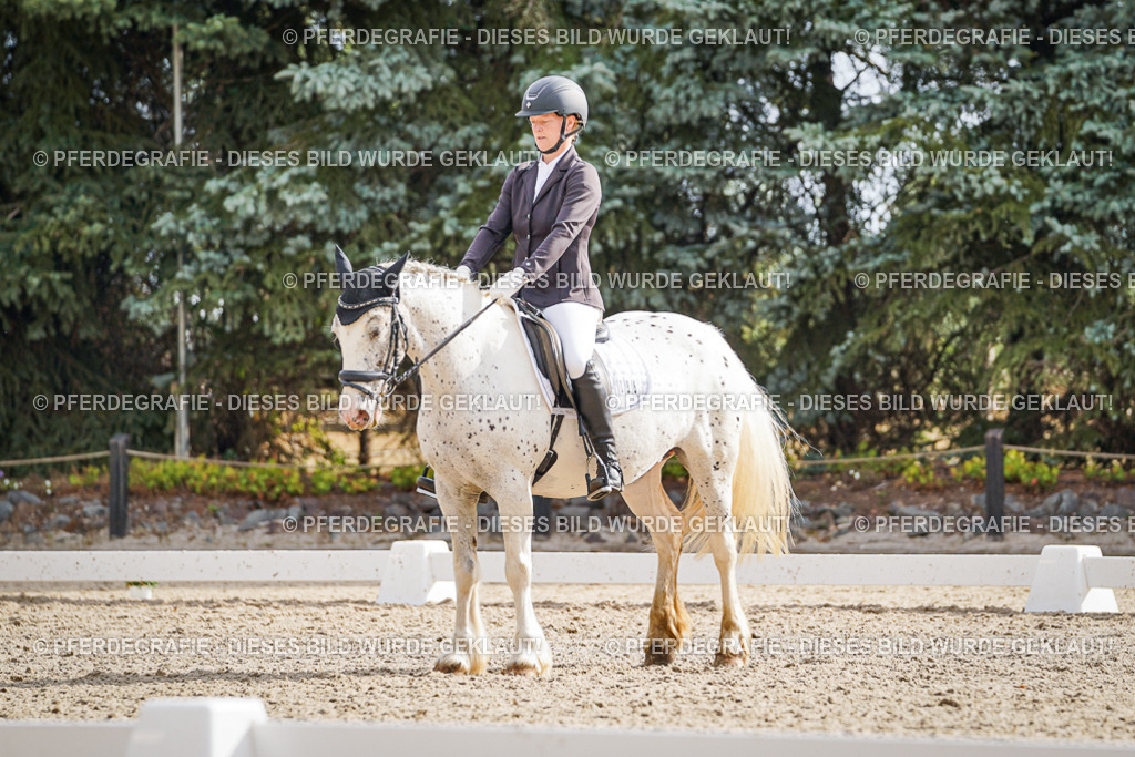 DSC01021 | Pferdegrafie