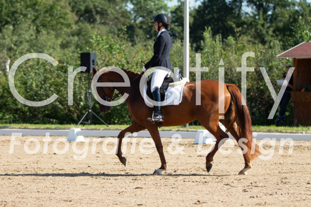 IMG_7565 | Creatify Fotografie