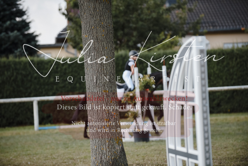 DSC_5280 | Pferde- und Turnierfotografie in Westsachsen. Pferdeportraits, Auftragszeichnungen und intuitive Kunst.