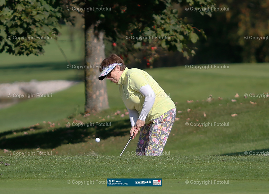 SPARKASSEGOLFTROPHY2023_44 | bilder, linz, photo, foto, fussball, sport, fotolui, bundesliga