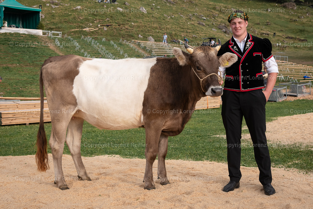 Schwingen -  Schwägalp Schwinget 2025 | Schwägalp, 17.8.25, Schwingen - Schwägalp Schwinget.