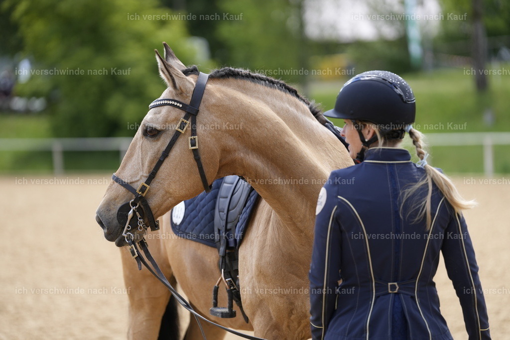 PI26_COW_Stoibphotography_A749507.JPG | working equitationturnier fotograf videograf stoibphotography marixx film working equitation deutschland reitsport turnierfotografie eventfotografie equestrian events