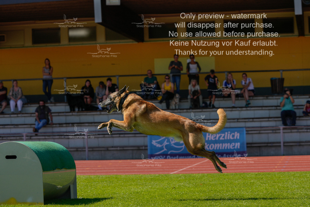 Sonntag_VK Hindernis (303 von 671) | stephaniefillaphotographie - Realisiert mit Pictrs.com